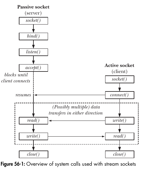 TCP socket